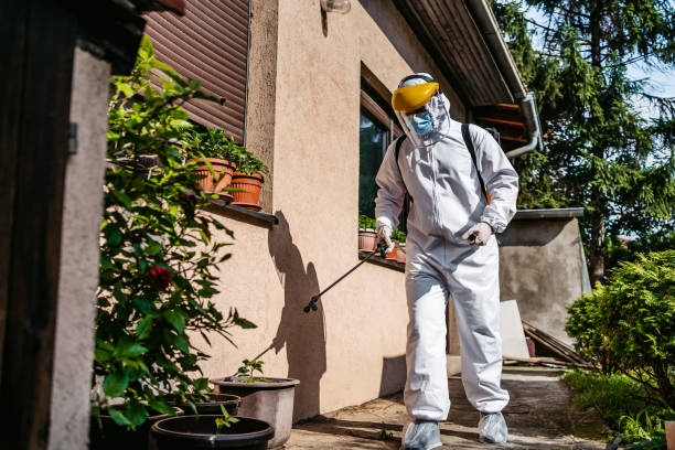 Wasp Removal Services in Jonesboro, IL