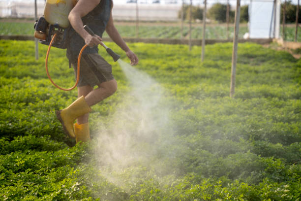 Best Affordable Pest Control Services  in Jonesboro, IL