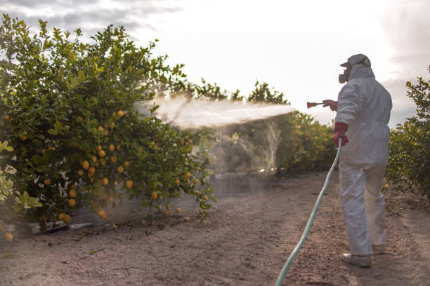 Best Insect Control  in Jonesboro, IL