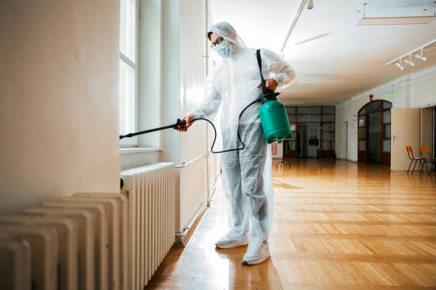 Best Affordable Pest Control Services  in Jonesboro, IL