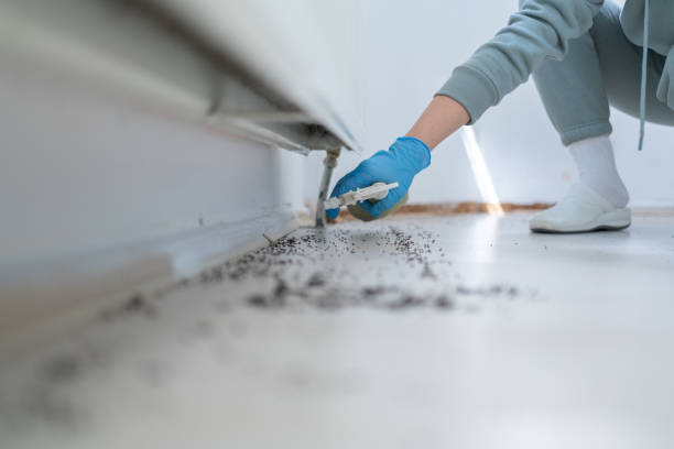 Best Cockroach Control Services  in Jonesboro, IL