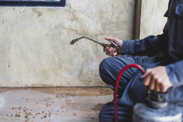 Best Affordable Pest Control Services  in Jonesboro, IL
